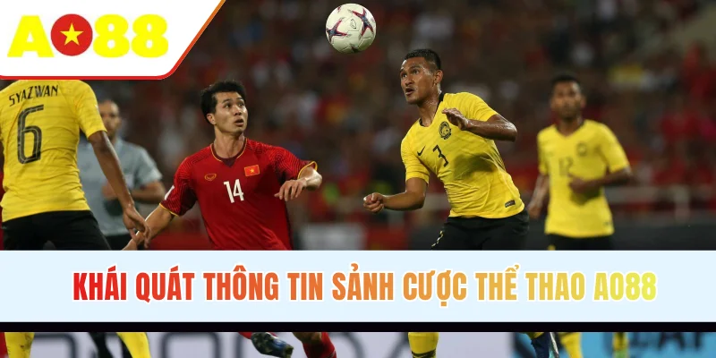 Khái quát thông tin sảnh cược thể thao AO88